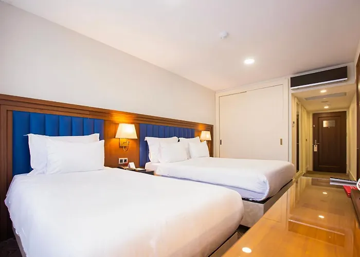 Ramada Plaza By Wyndham Sultanahmet Hotel 5*