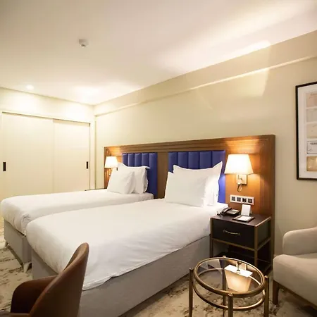 酒店 Ramada Plaza Sultanahmet By Wyndham 伊斯坦布尔