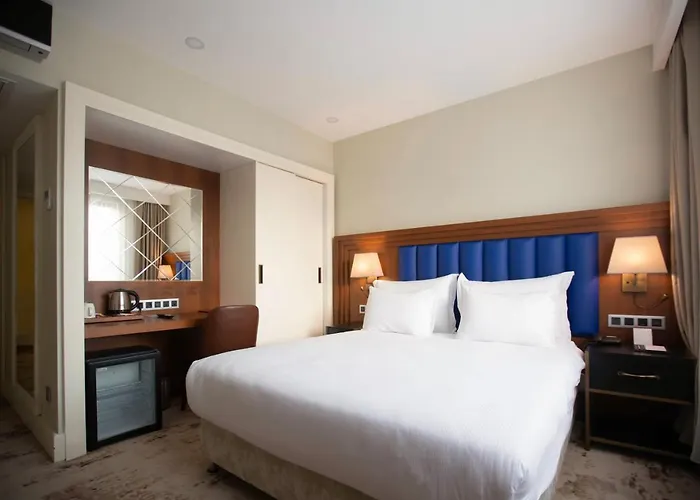 Ramada Plaza By Wyndham Sultanahmet 5*