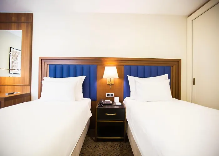 Отель Ramada Plaza By Wyndham Sultanahmet 5*