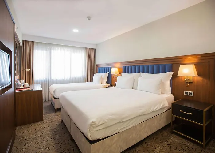 Ramada Plaza By Wyndham Sultanahmet 5* Стамбул