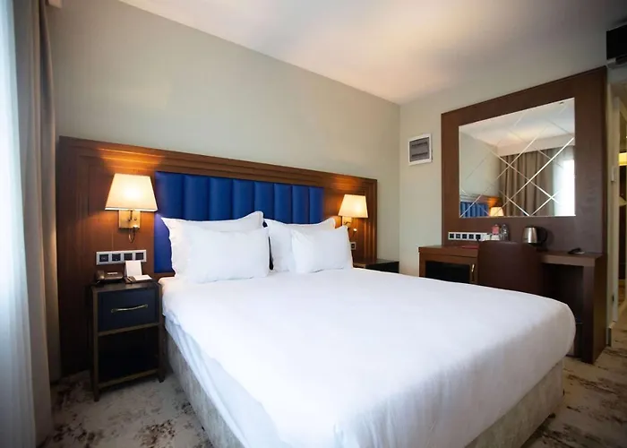 Ramada Plaza By Wyndham Sultanahmet Стамбул