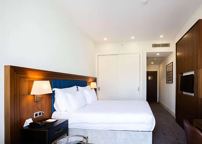 Отель Ramada Plaza By Wyndham Sultanahmet 5*