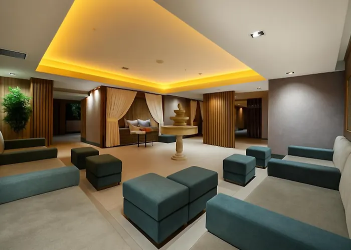 Отель Ramada Plaza By Wyndham Sultanahmet Стамбул