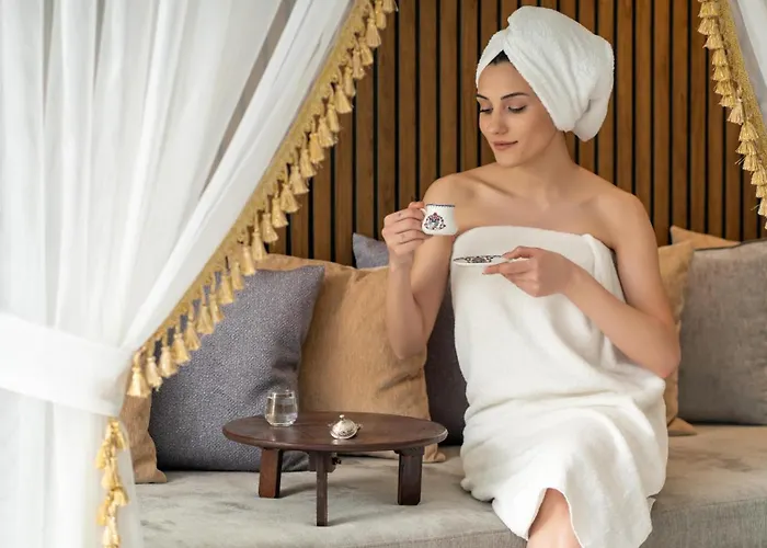 Ramada Plaza By Wyndham Sultanahmet Стамбул