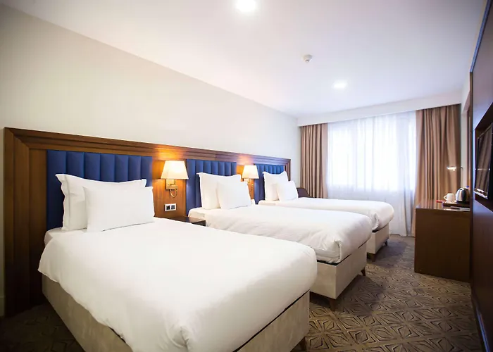 Ramada Plaza By Wyndham Sultanahmet Отель Стамбул